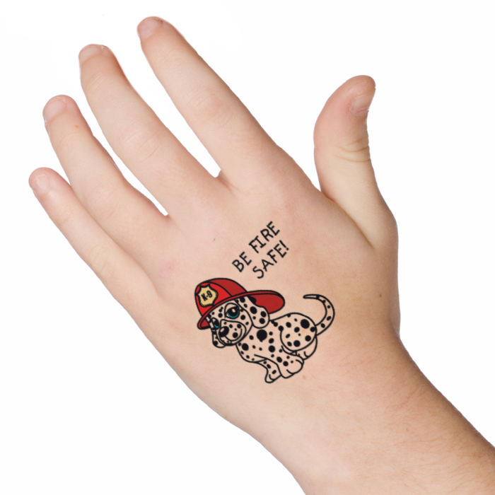 2930-skin