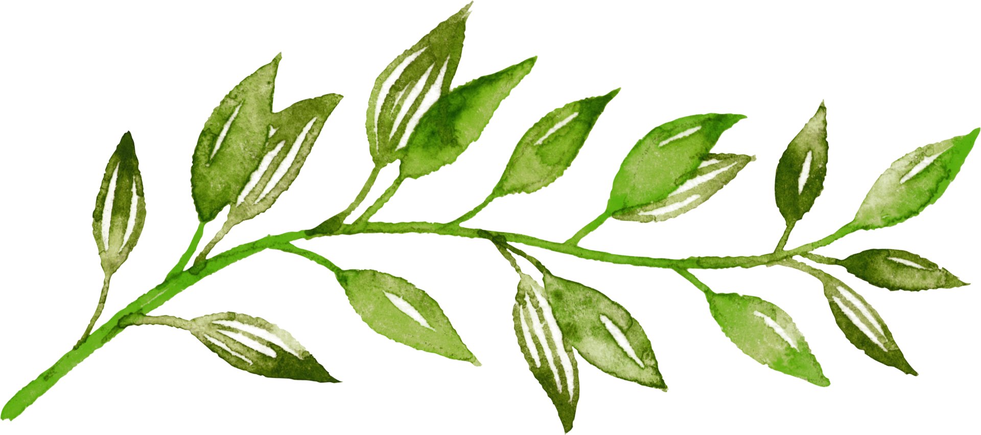 FLO-56